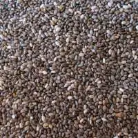 Chia seeds