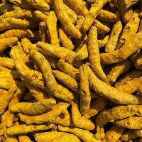 Turmeric