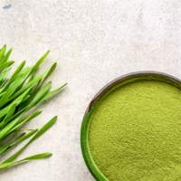 Premium Wheatgrass Powder