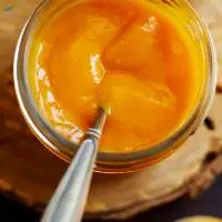 Premium Mango Pulp