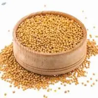 Golden Mustard Seeds
