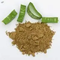 Organic Aloe Vera Powder
