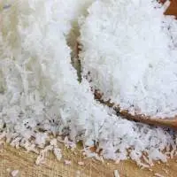 Desiccated Coconut Powder
