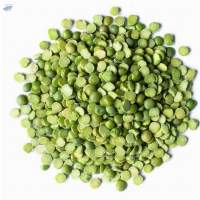 Split Green Peas - Pisum sativum