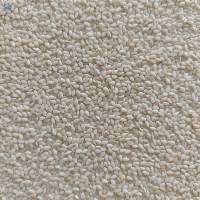 White Sesame Seeds