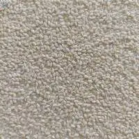 White Sesame Seeds
