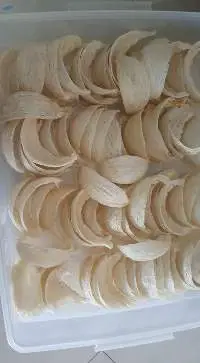 Birdnest All Grades And Shapes