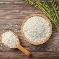 White Rice