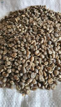 Coffee Green Beans