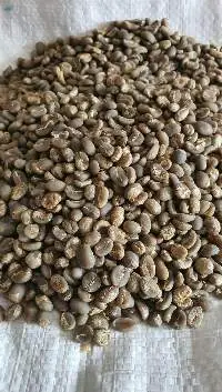 Coffee Green Beans