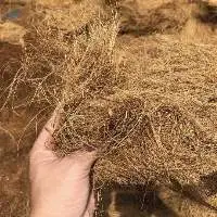 Coco Fiber