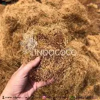 Coconut Fibers