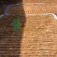 Coconut Peat 