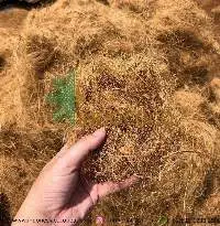 Coir Fiber