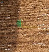Coco Peat Coir Pith
