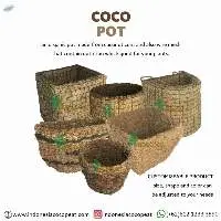 Flower Pot