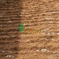 Compressed Coir Pith