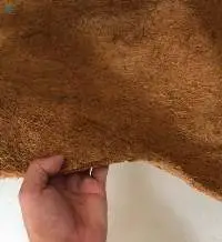 Coco Sheet