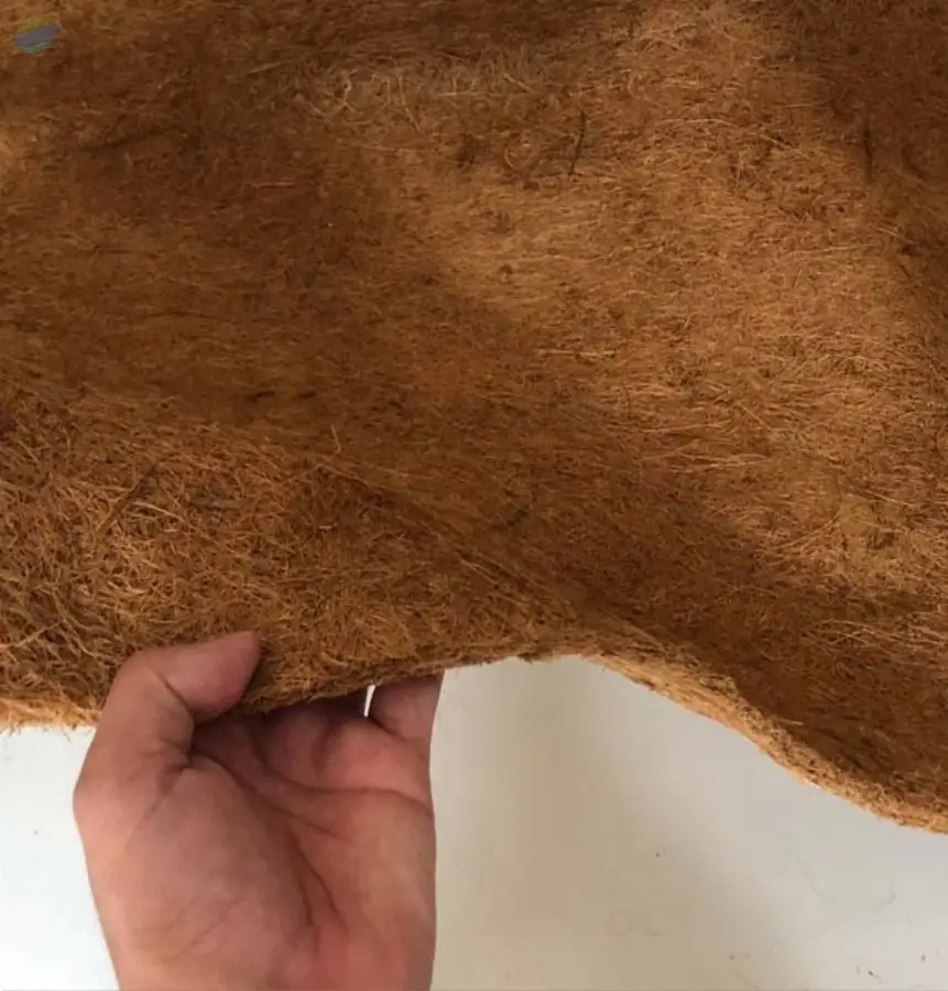 Rubberized Coir (Latex Sprayed) Sheets