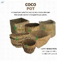 Flower Pots
