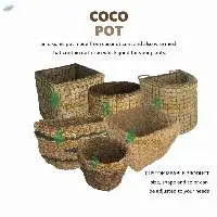 Coir Pot