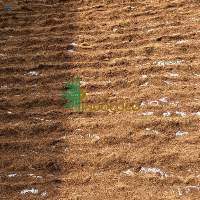 Cocopeat