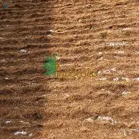 Cocopeat