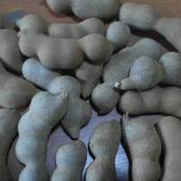 Sweet Tamarind From Thailand