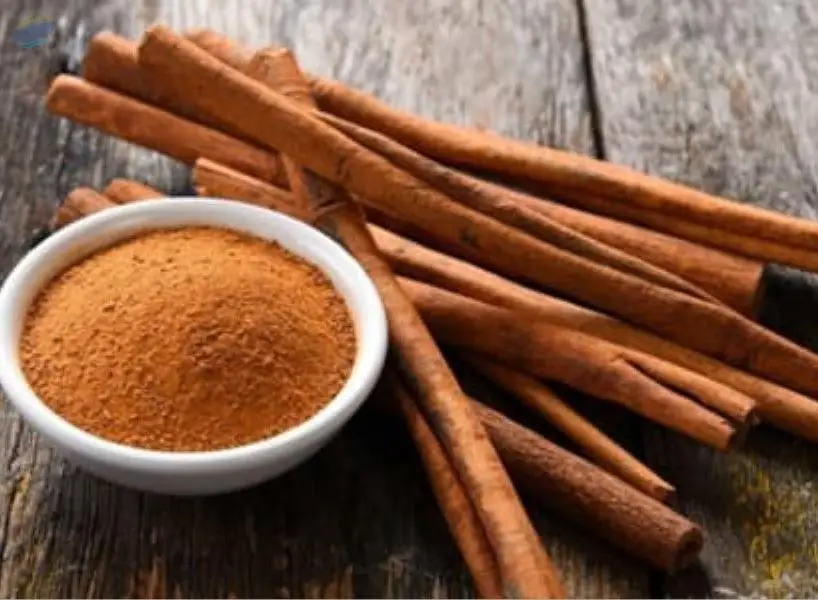 Cinnamon Powder