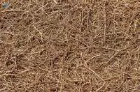 Coconut Fiber