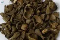 Palm Oil Shell