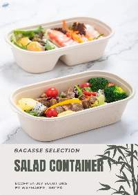 Bagasse Pulp Containers