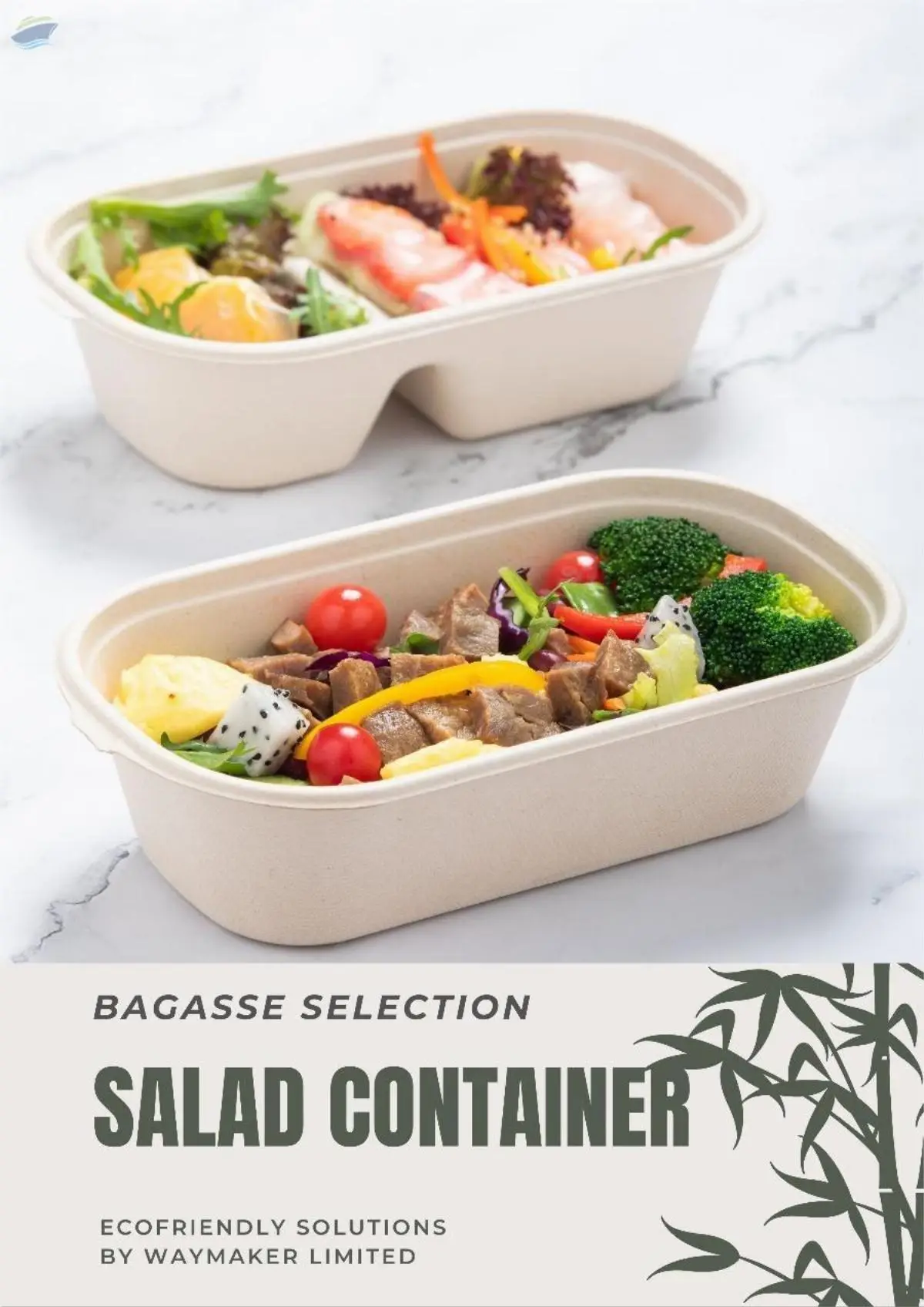 Bagasse Pulp Containers