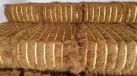 Coconut Fiber