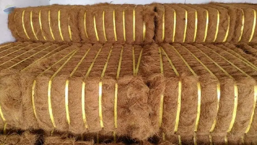 Coconut Fiber