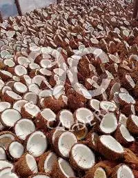 Copra / Edible Copra / White Copra