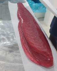 Yellow Fin Tuna