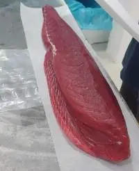 Yellow Fin Tuna