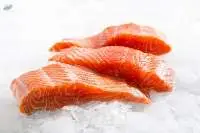 Frozen Salmon Fish