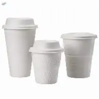 Bagasse Cups, Compostable