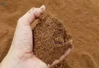 Palm Kernel Expeller