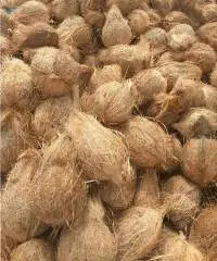 Semi Husked Coconut