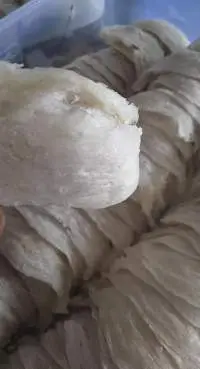 Swallow Nest
