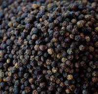 Black Pepper