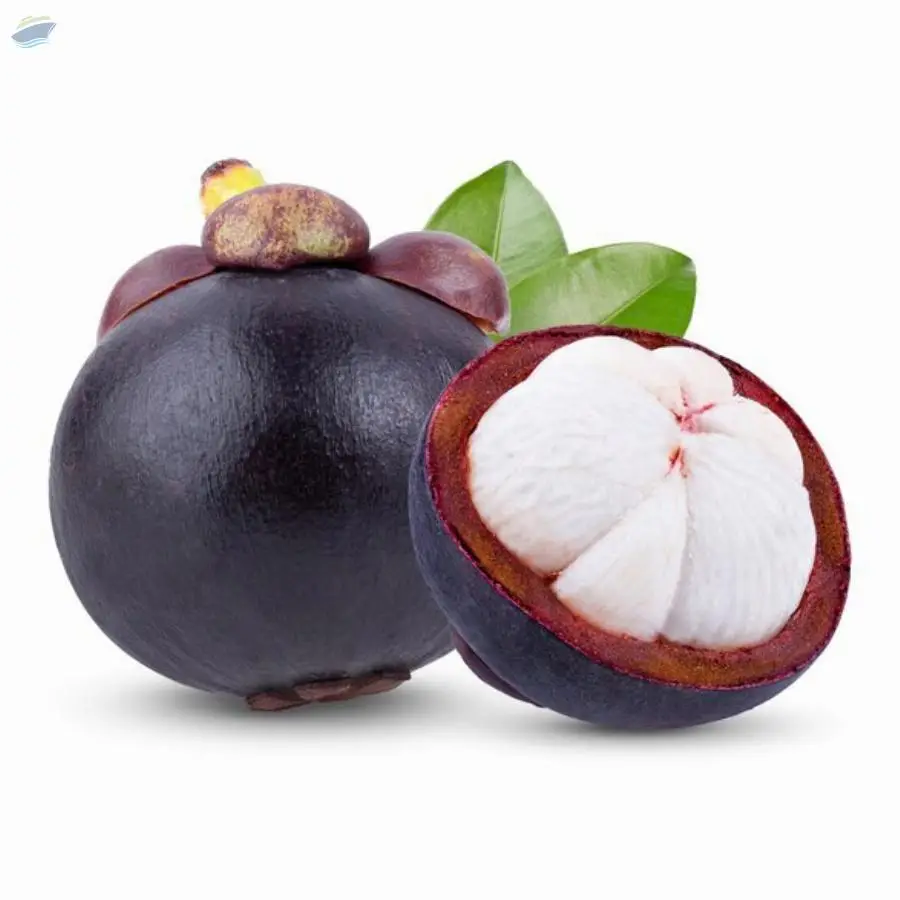 Mangosteen