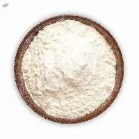Coconut Milk Powder