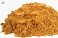 Pure Ceylon Cinnamon Powder Sterilized