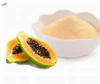 Papaya Powder  (dehydrated Papaya Powder)