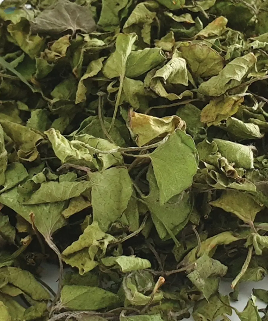 Dried Centella Leaf  (dehydrated ( Gotukola))
