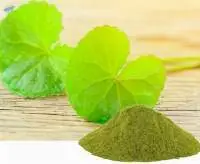 Centella leaf Powder  (Dehydrated ( GOTUKOLA))